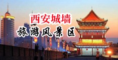 成人3D性爱性视频网址中国陕西-西安城墙旅游风景区